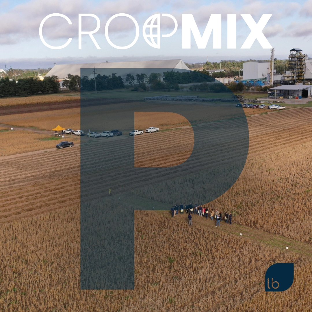 "P de Producción 🌾, pieza clave en el CropMix Lab. Nuestro objetivo es medir meticulosamente la producción de cultivos en una rotación típica de la zona, utilizando las tecnologías más avanzadas y contando con los mejores aliados tecnológicos.