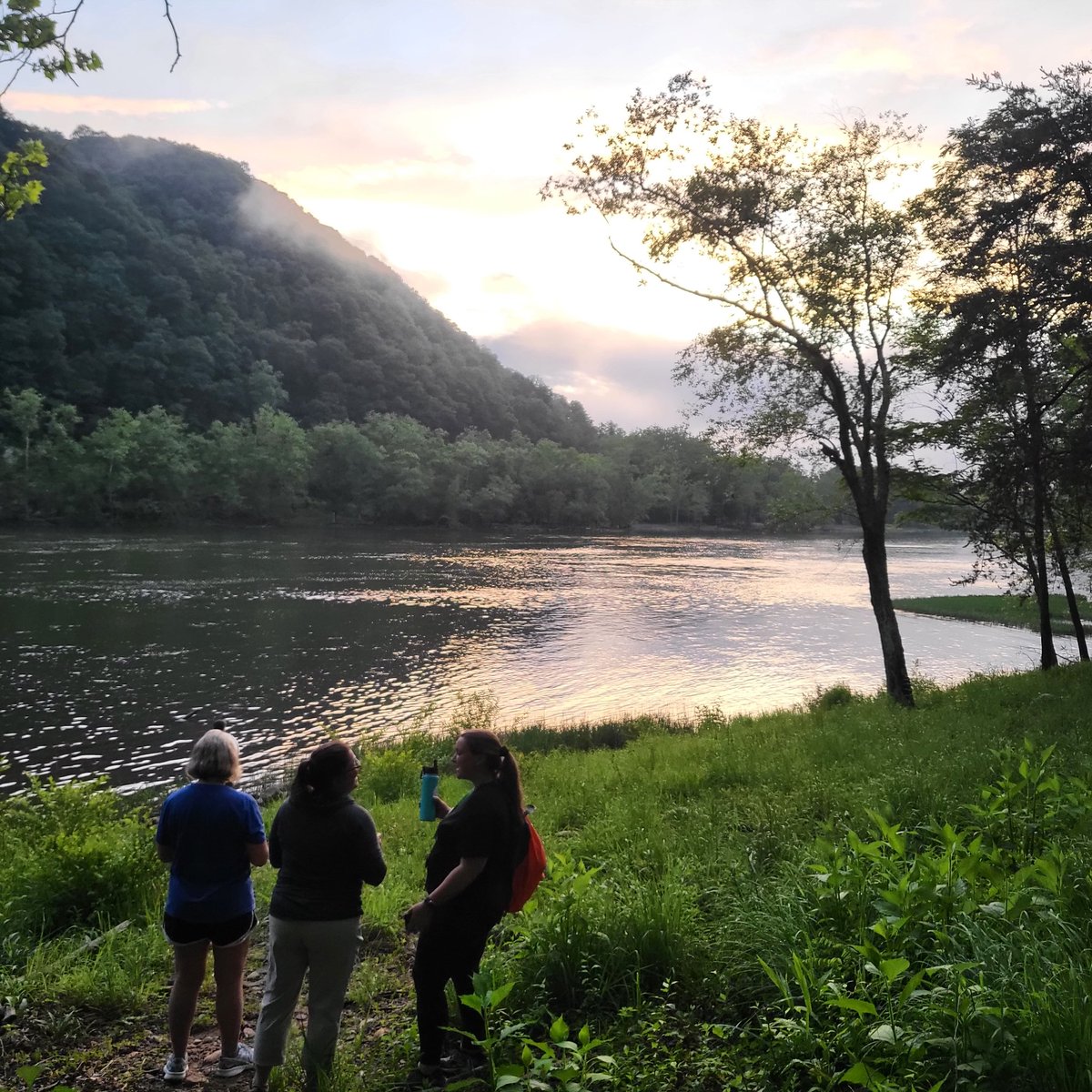 Mrs. House's Class tweet media