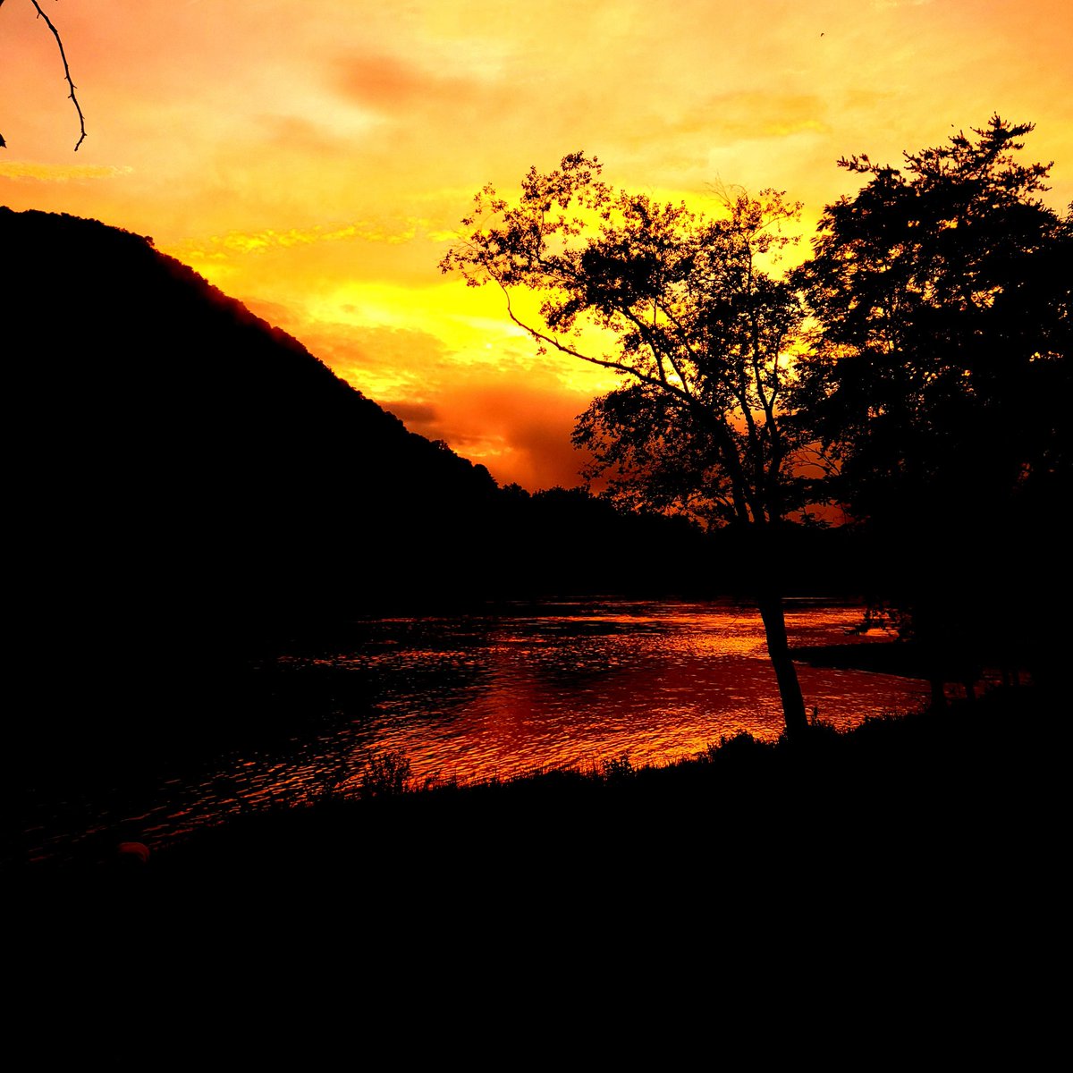 Mrs. House's Class tweet media