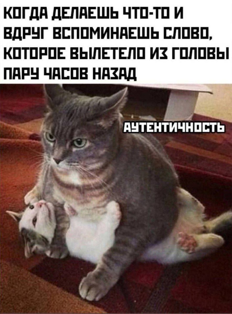 DantesDmitriy's tweet photo. https://t.co/99g9tLb8UA