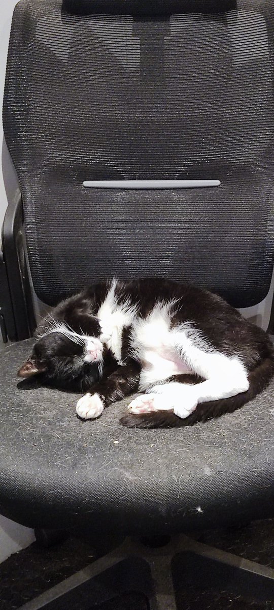 Just found out my best buddy milo has cancer and isn't gonna be with us  for much longer. I'm so incredibly sad.