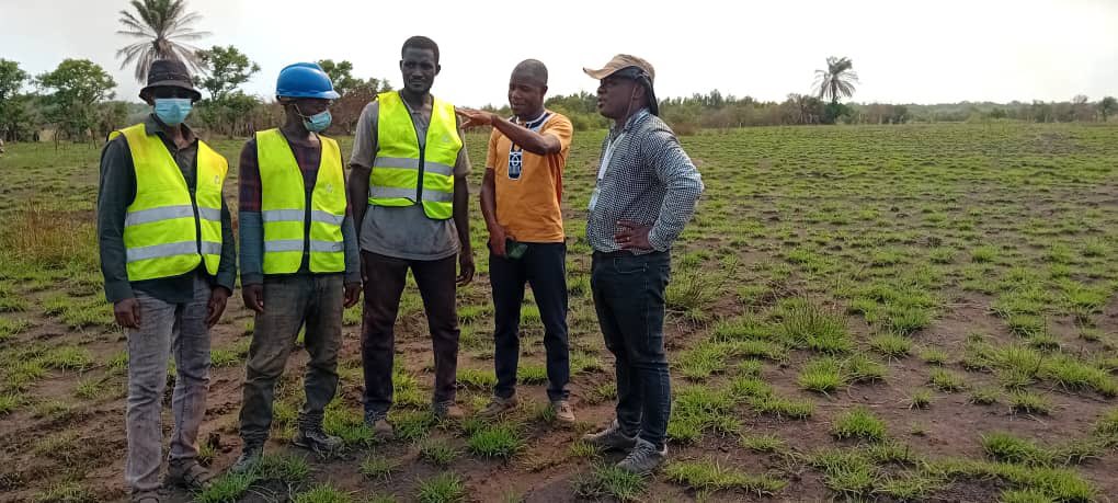 RenaspGui's tweet photo. Une équipe de la Direction Exécutive rentre d’une mission de BOKÉ et de BOFFA. Elle était allée toucher du doigt les réalités du terrain et veiller sur la réalisation correcte des tâches du Projet de Conservation des Forêts Mangroviennes de la Boucle du Rio Nunez à Boké et Boffa https://t.co/ORXgHd9KTW