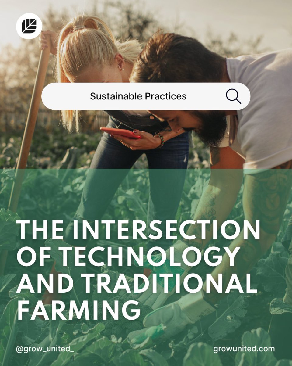 grow_renaissanc's tweet photo. At Grow United, we are weaving the future of farming at the crossroads of #Technology and #Tradition. Sustainable practices meet blockchain to create a #ResilientFoodSystem for the planet. Embrace the synthesis of #Innovation and age-old wisdom 🔗https://t.co/UXUyTapPtw https://t.co/d17HkW28Ee