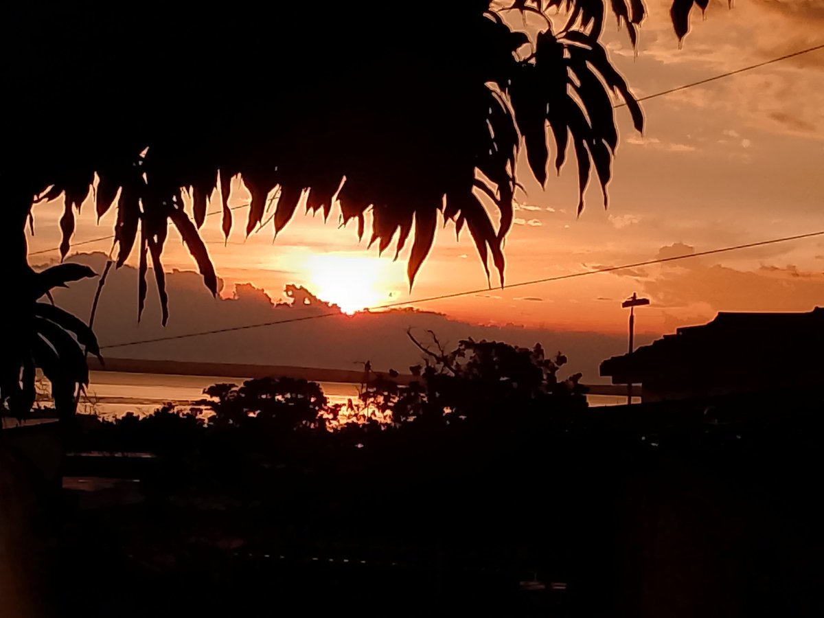 MeteoZuliaReal's tweet photo. Y después de la #Tormenta llega la calma y este hermoso #Amanecer a #Maracaibo hoy #Martes #04Jun2024
#Sun #Sunrise #Clouds #CloudsLovers #Storm #StormLovers #Sky #Sunriselovers #Stormhour #ThePhotohour https://t.co/8pblZwTfYy