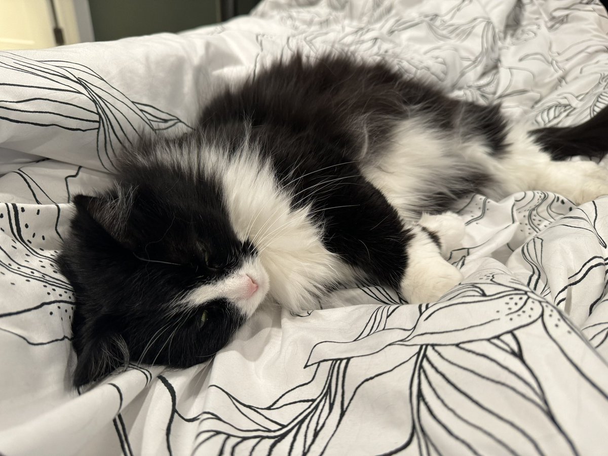 ime sleebing ok