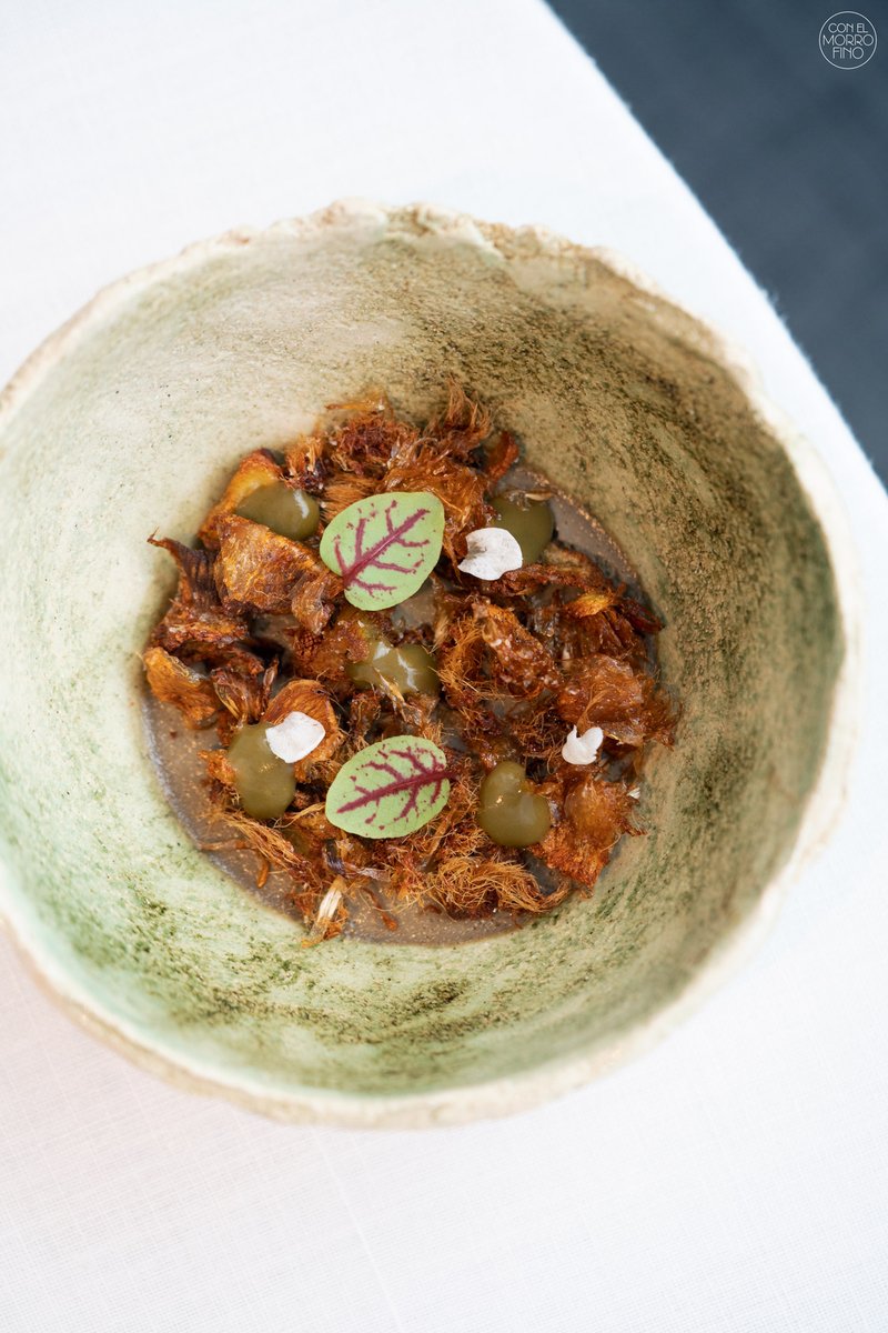 Con El Morro Fino tweet media