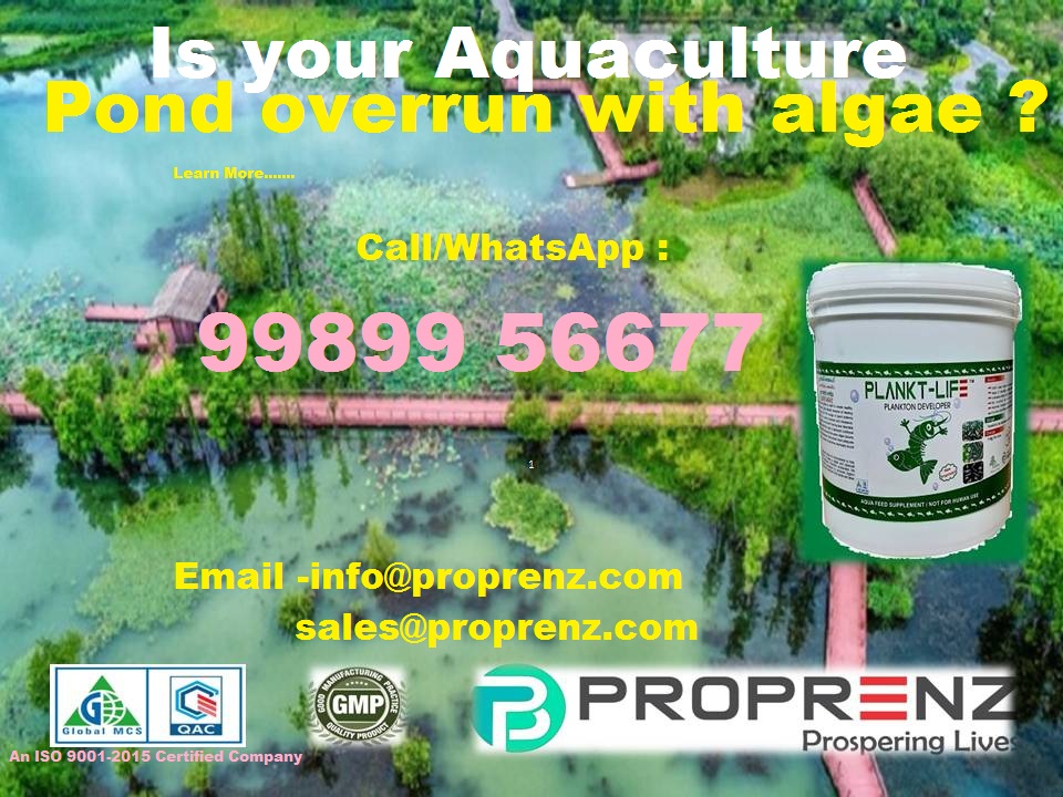 Is your Aquaculture pond overrun with algae ?
Plankt-Life ditches the boom-and-bust cycle of algae in your pond. Unlike fertilizers that cause excessive blooms, it encourages balanced growth. Plankt-Life controls nutrient release, preventing imbalances that fuel harmful algae.