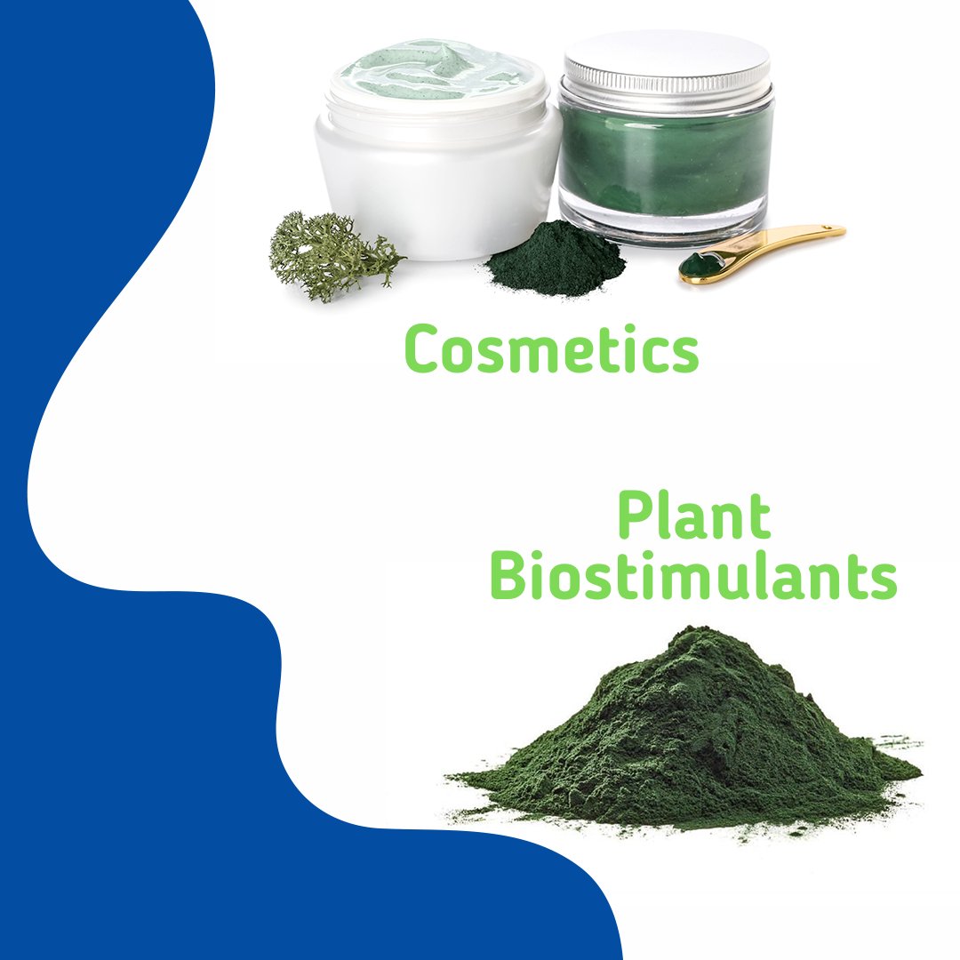 EU_MARE's tweet photo. 🎉🌊 Happy #WorldSeaweedDay, let's roll out the green carpet for our ocean's incredible algae!

From #superfoods to eco-friendly products, seaweed is the unsung hero of the ocean.

What's your favorite seaweed product?

#EU4Algae https://t.co/I39rQRp7r7