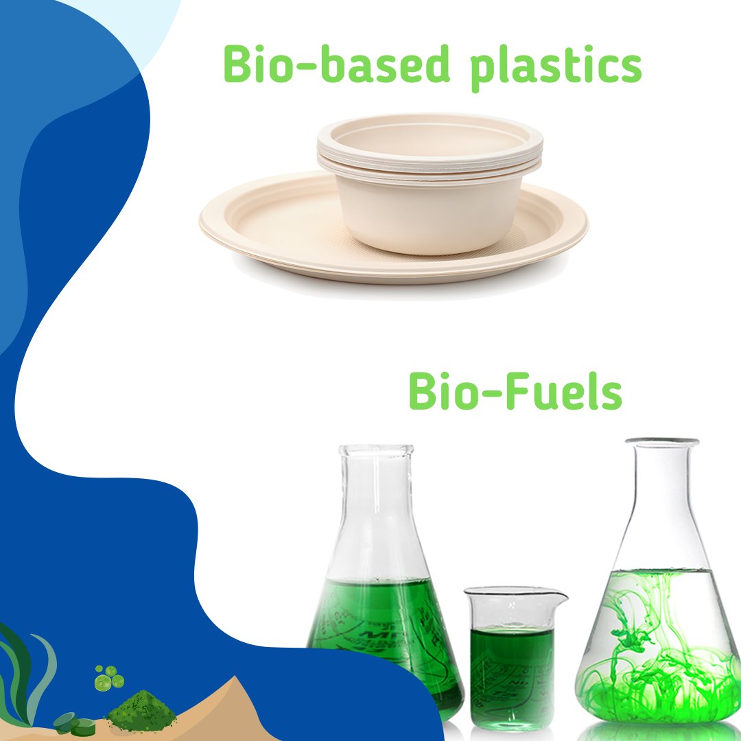 EU_MARE's tweet photo. 🎉🌊 Happy #WorldSeaweedDay, let's roll out the green carpet for our ocean's incredible algae!

From #superfoods to eco-friendly products, seaweed is the unsung hero of the ocean.

What's your favorite seaweed product?

#EU4Algae https://t.co/I39rQRp7r7