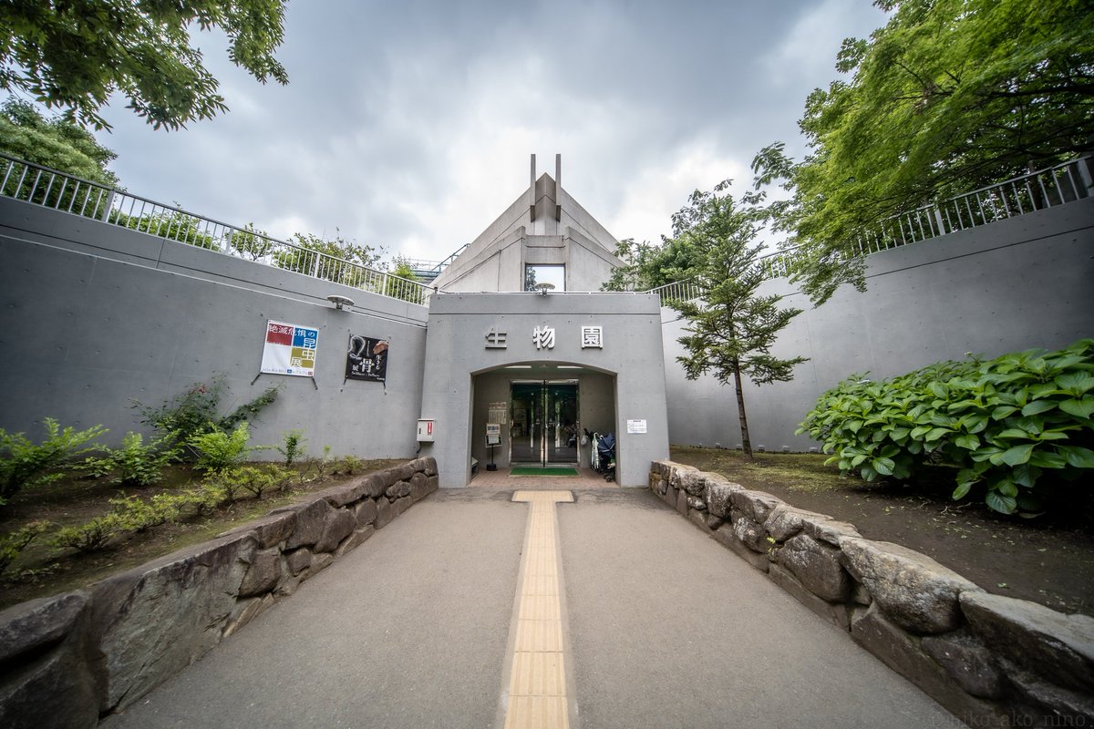 ako03201's tweet photo. 足立区生物園、入園料300円ってコスパ最強じゃない？ https://t.co/F1firBGwSl