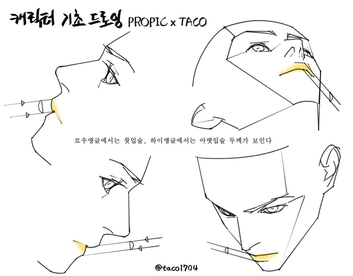 로우앵글에서는 윗입술, 하이앵글에서는 아랫입술 두께가 보인다
