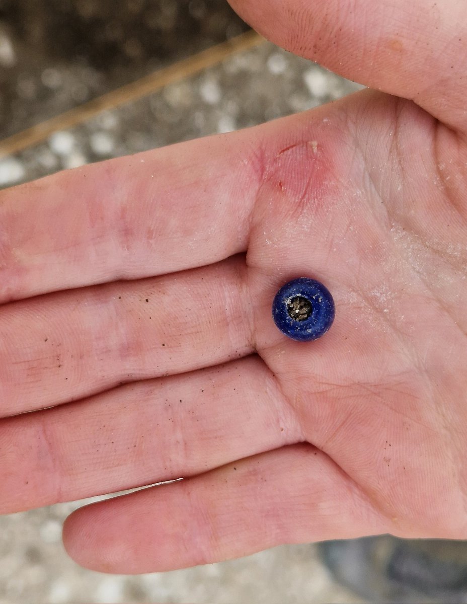 Durotriges Project tweet media