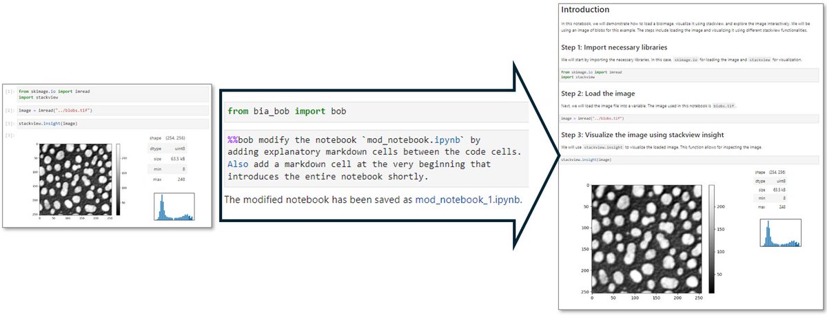 Robert Haase (@haesleinhuepf) on Twitter photo Writing documentation can be time-consuming. Let #biabob help you 😉
New in version 0.15.1: Modify existing <a href="/ProjectJupyter/">Project Jupyter</a> notebooks, e.g. for introducing explanations between code cells 😃🎉
github.com/haesleinhuepf/… Writing documentation can be time-consuming. Let #biabob help you 😉
New in version 0.15.1: Modify existing <a href="/ProjectJupyter/">Project Jupyter</a> notebooks, e.g. for introducing explanations between code cells 😃🎉
github.com/haesleinhuepf/…