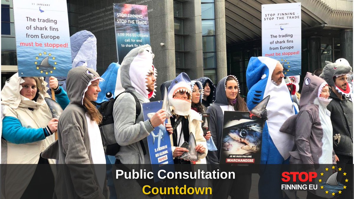 StopFinningEU tweet media