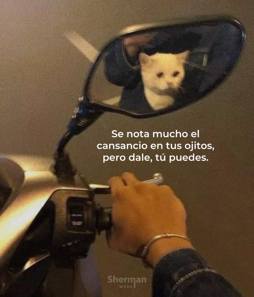 Dilo con dibujos tweet media