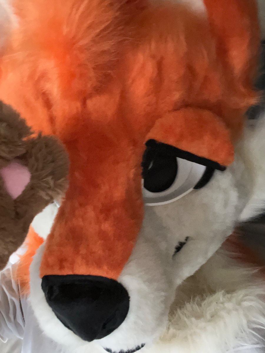 Bro eepy 

#fursuit #furry #furryfandom #fursuits #cosplay #fursuiter #cosplayer