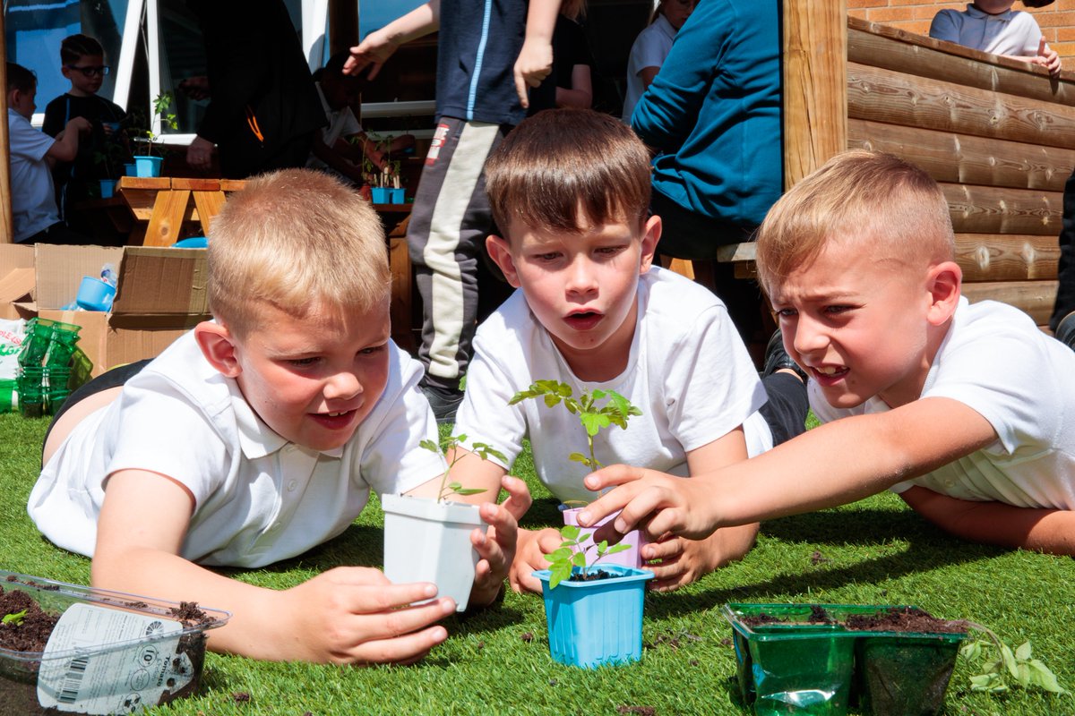 If you're taking part in #GrowingToLove it's time to re-pot your plants! A recycled 2l milk carton or large yoghurt pot work well, just make sure there are holes punctured at the bottom to allow the water to drain. Find more info at: vegpower.org.uk/growing-to-lov… Happy Growing!