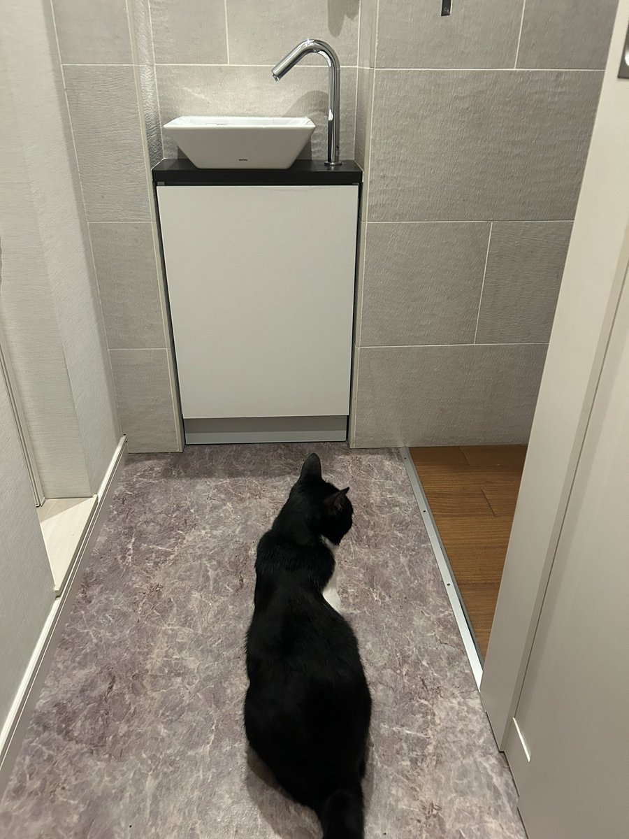 どこ行っても適度な距離感保ちながらついてくる
ちなここトイレ