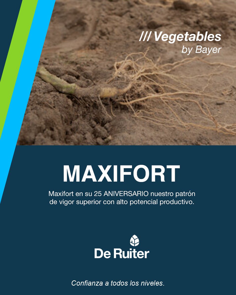 Portainjertos de De Ruiter: fortaleza y protección

🌱 DR0141TX: Vigor superior y adaptable.
🌱 Vitalfort: Sistema radicular fuerte.
🌱 Multifort: Líder mundial en producción.
🌱 Maxifort: 25 años de alto potencial productivo

#DeRuiter