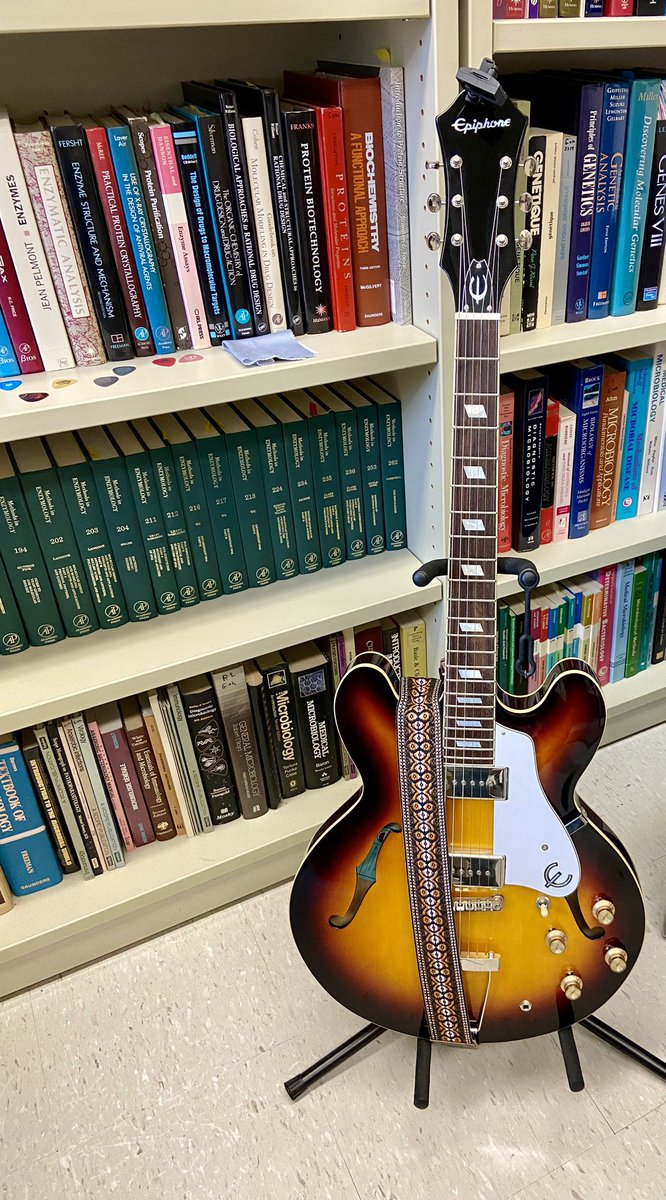 Best coffee break? Grant submitted and a few min on a Beatles Epiphone Casino