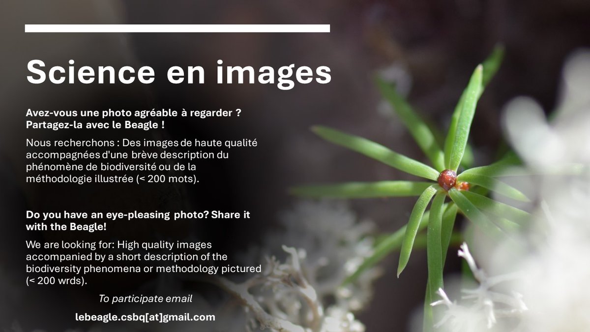 Nous acceptons toujours les photos ! Nous sommes impatients de les découvrir. |
We are still accepting photos! Can't wait to see them. Pour en savoir plus : lebeagle.qcbs.ca/blog/science-e…