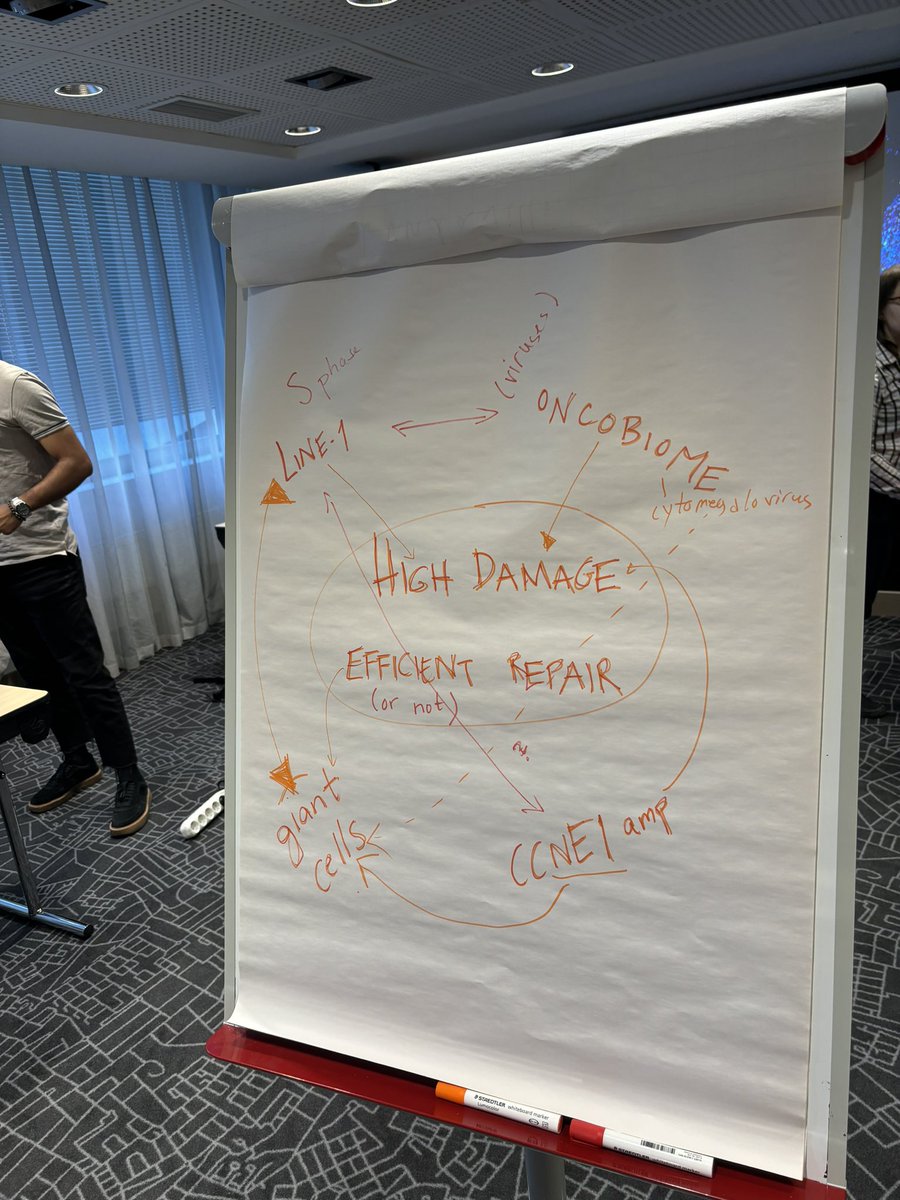 Kauppi Lab (@labkauppi) on Twitter photo 