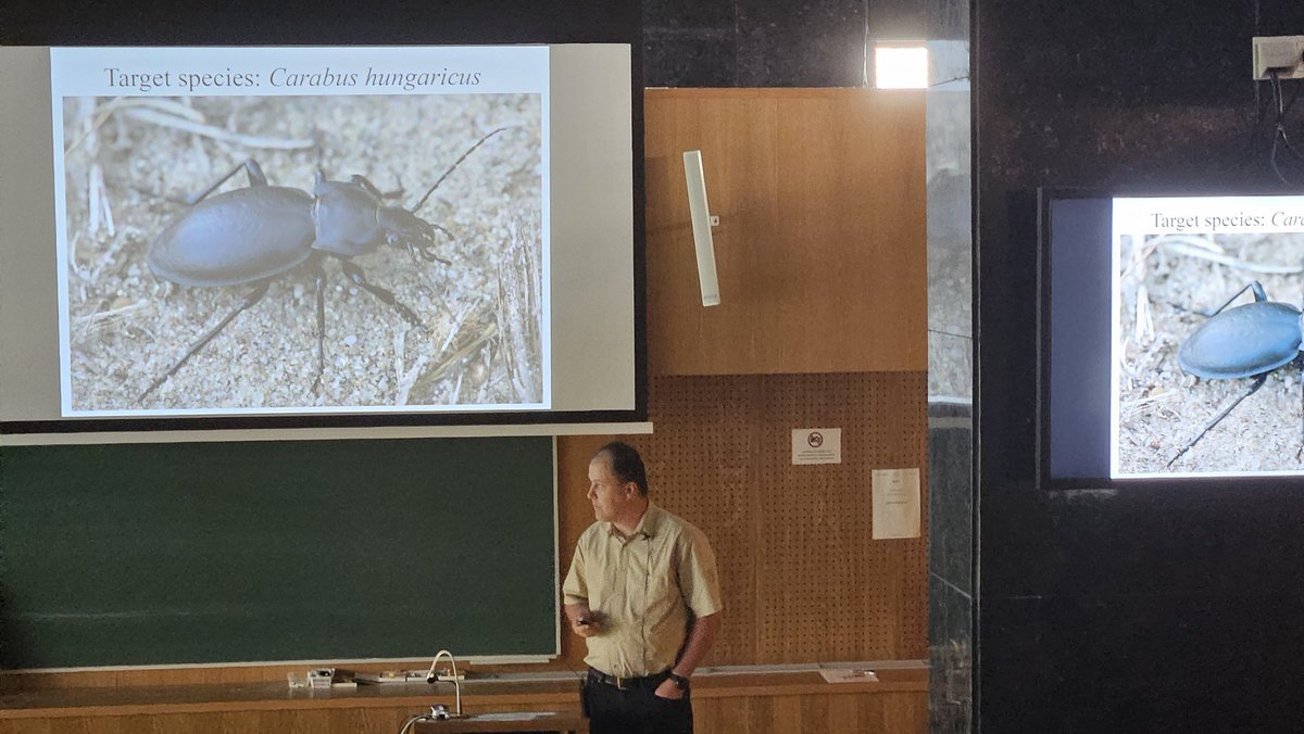 Community ecology of carabid beetles tweet media