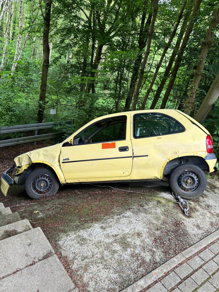 Åshild Kolås tweet media