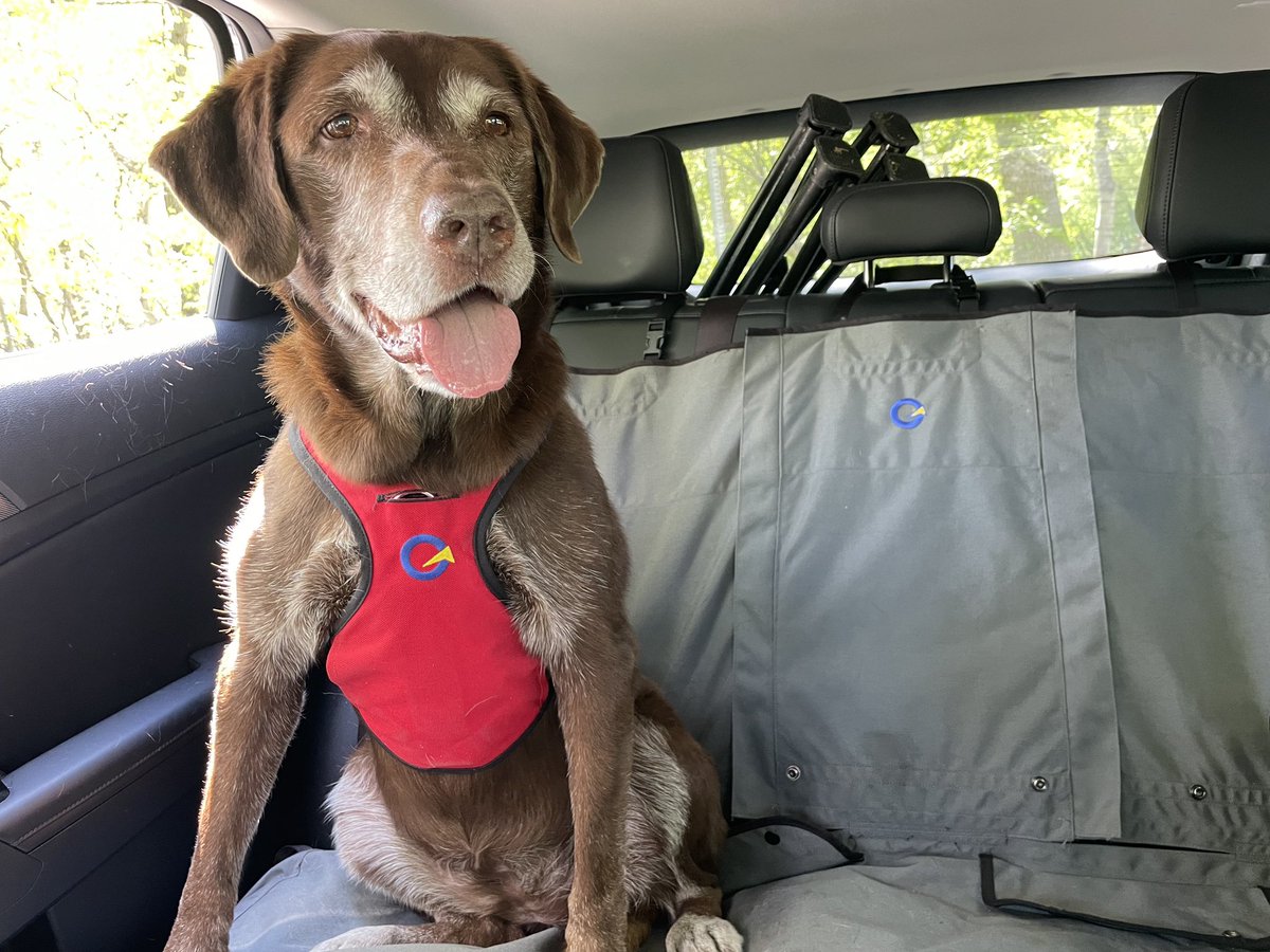 Nala & Fletcher tweet media