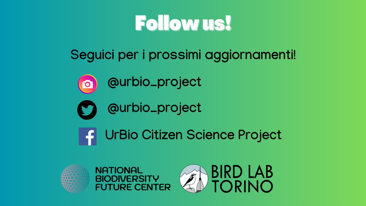 Oggi parliamo della cornacchia grigia 🐦‍⬛ uno degli uccelli più adattabili e intelligenti delle nostre città!

Vuoi aiutarci a monitorare le cornacchie e altre specie urbane? Diventa volontario!▶️urbio.unimi.it

#urbanbiodiversity #citizenscience #corvuscornix