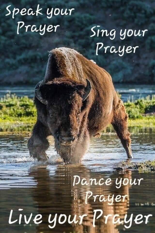 As Lakota People we are always In prayer. Wether we eating, singing or dancing we do with Prayerful Hearts. Mitakuye O'yasin ⚪🟡🔴⚫ #LiberateTurtleIsland #LandBack