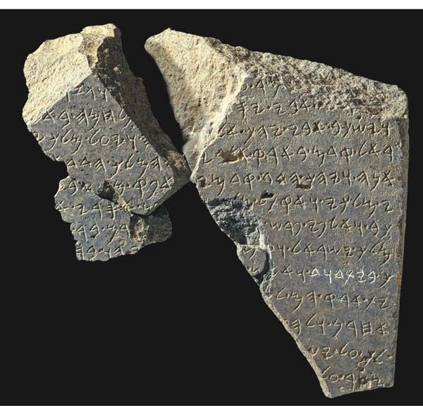 Sarah Malcangi tweet media