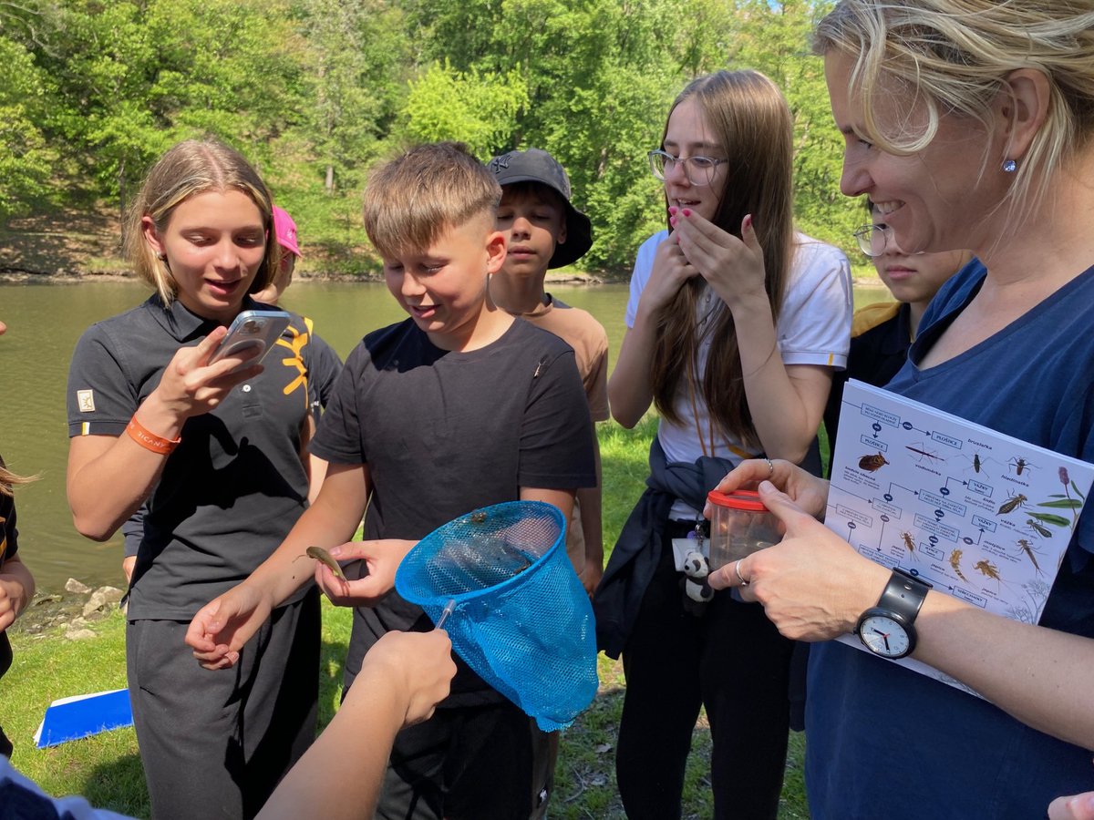 SCIS_Steam tweet media