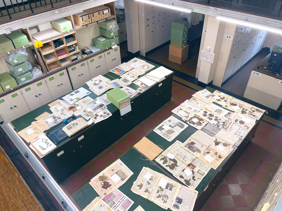 KewKeepers's tweet photo. We the undersigned, support Kew Science staff, asking Richard Deverell the Director and Trustees to reconsider their intention to move Herbarium from Kew Gardens to a new building to be constructed in a business park near Reading using UK taxpayers’ funds. https://t.co/zNKAu9UzlB https://t.co/xZTpvhRZM0