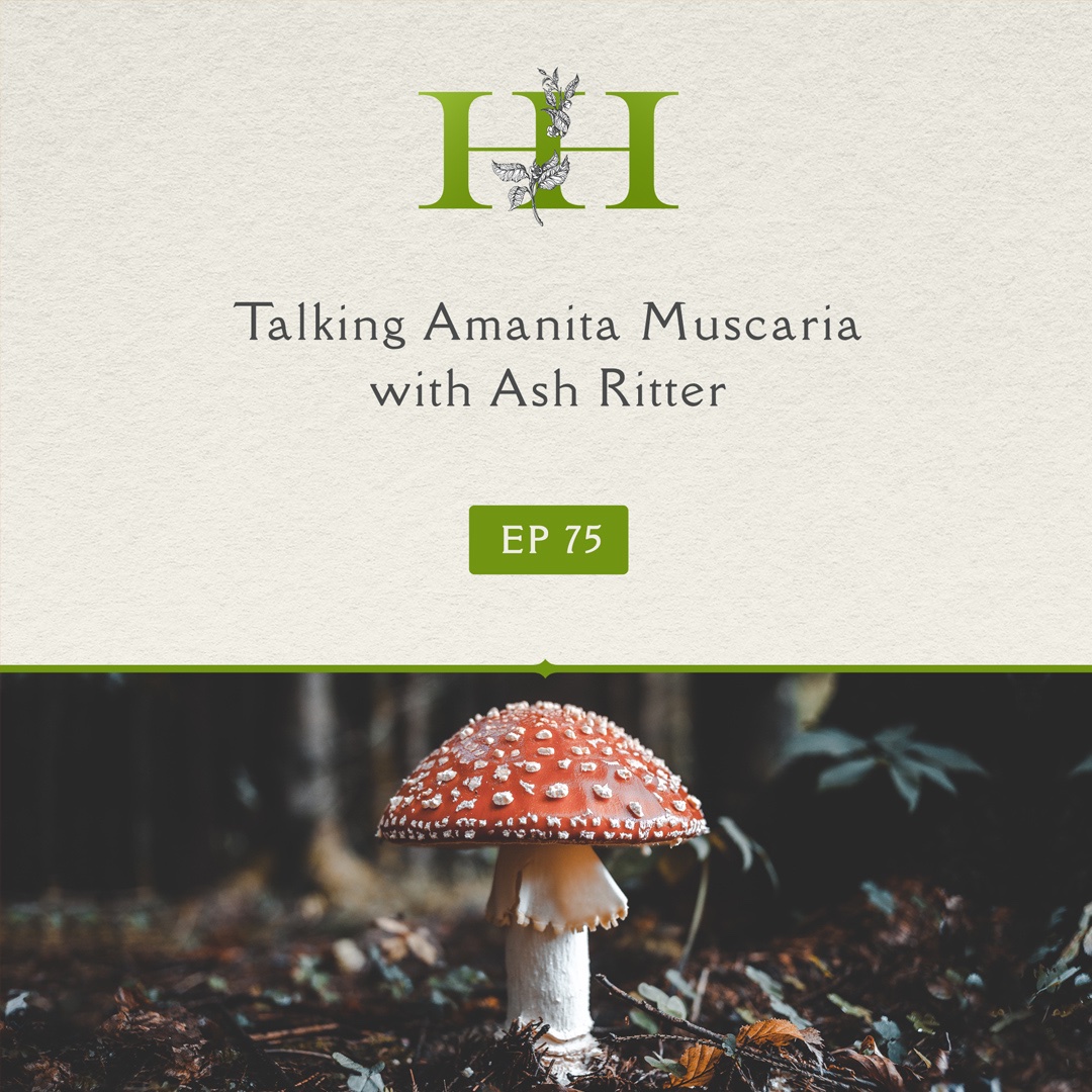 Michelles_HH's tweet photo. Today at 4 pm pst, join me and Ash Ritter for a chat about Amanita muscaria 🍄

https://t.co/RPDOHGBAKQ https://t.co/xtbeHq7Mal