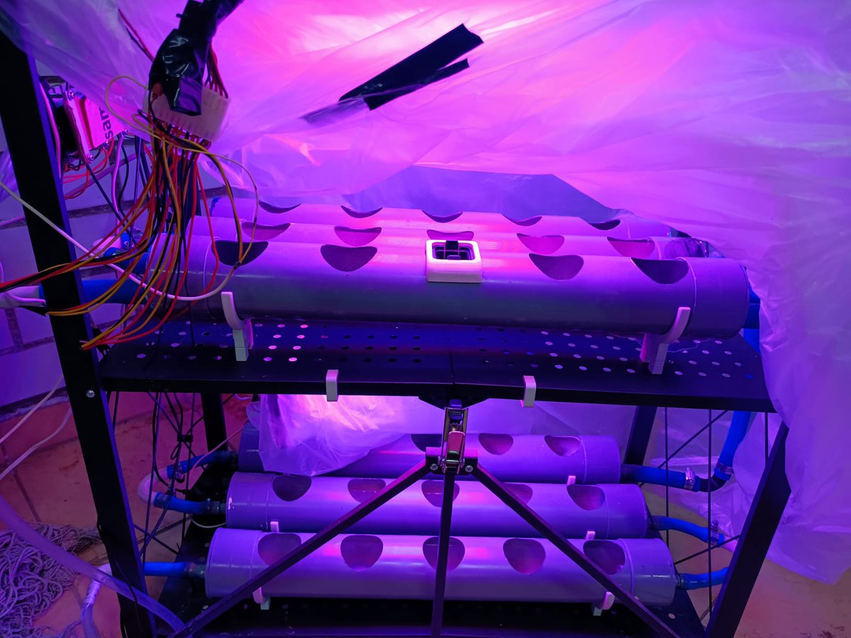 IJALTI's tweet image. Bajo la iniciativa #Tech4Future impulsada por el IJALTI, el viernes pasado nuestro socio Armando Olmos (#DWSoftware), acudió al CETI Tonalá para asesor proyectos de los alumnos de la carrera de Tecnólogos en Desarrollo de Software. También participan #Improving, #Diez y #Medisist