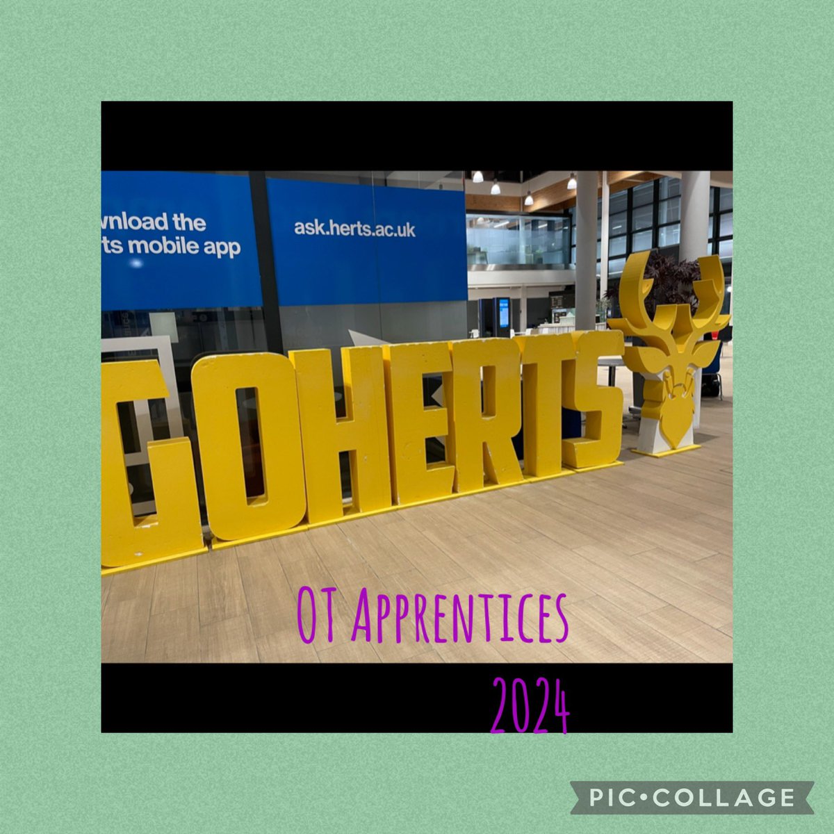 Melissa Chieza tweet media