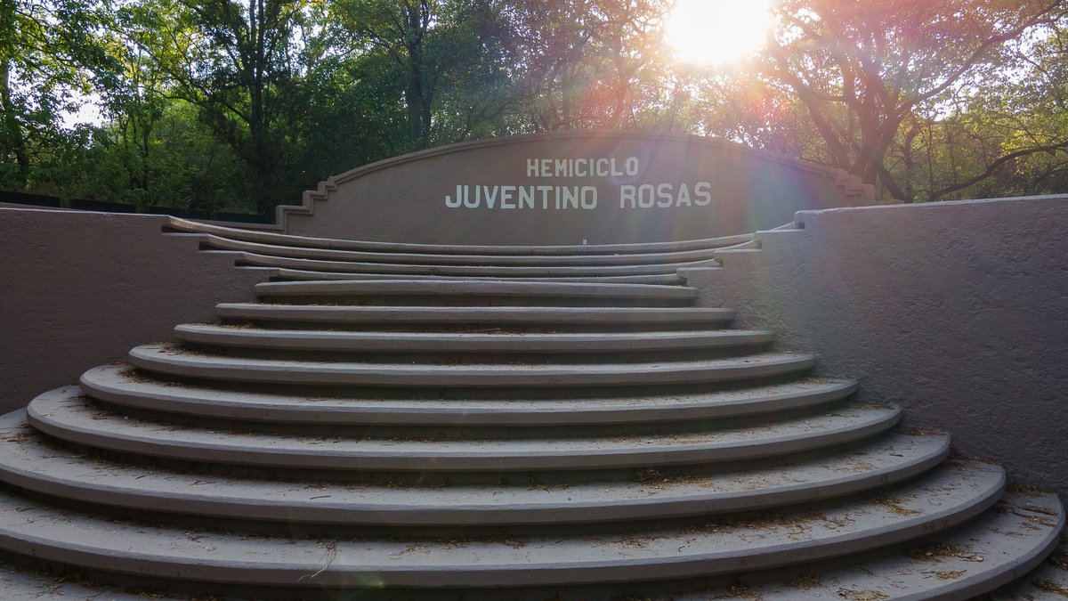 Bosque De Chapultepec tweet media