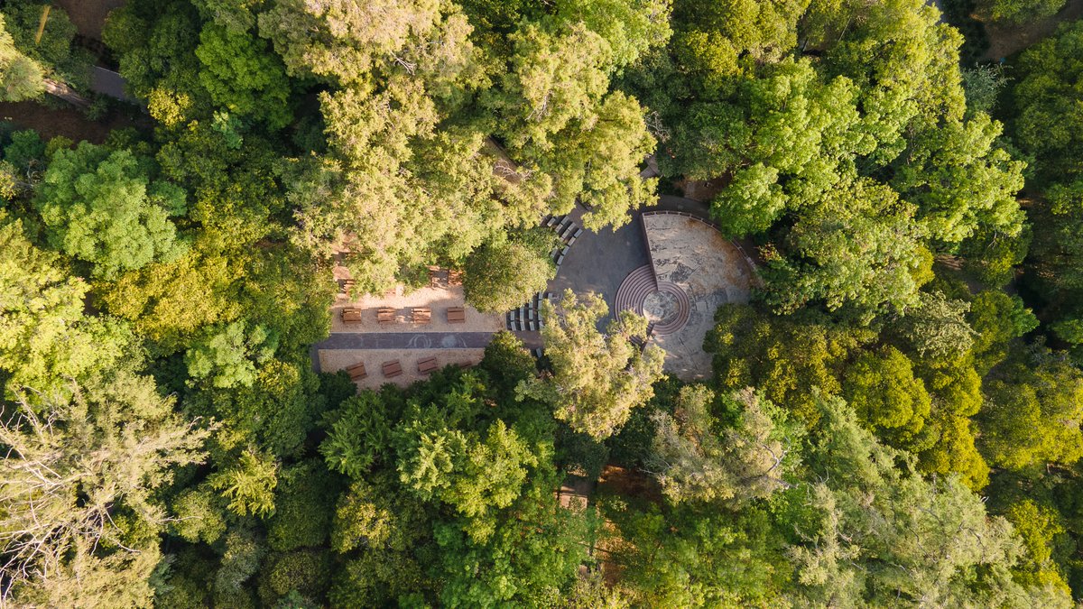 Bosque De Chapultepec tweet media