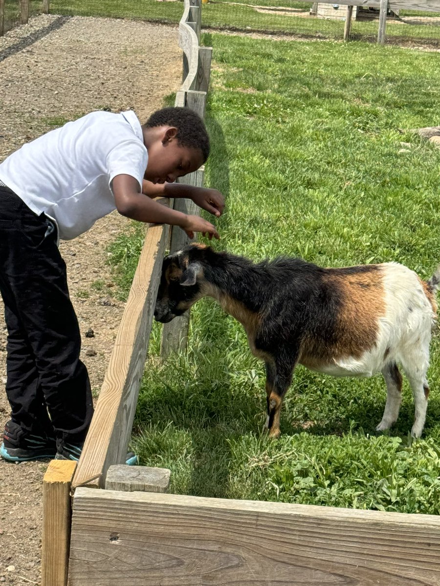 MiddleMarquette's tweet photo. Marquette had an amazing time at Blake’s Cider Mill.  #DPSCD https://t.co/ns3YTwVMfZ