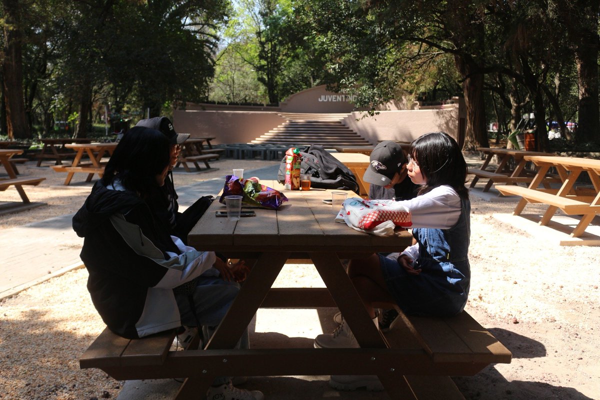 Bosque De Chapultepec tweet media