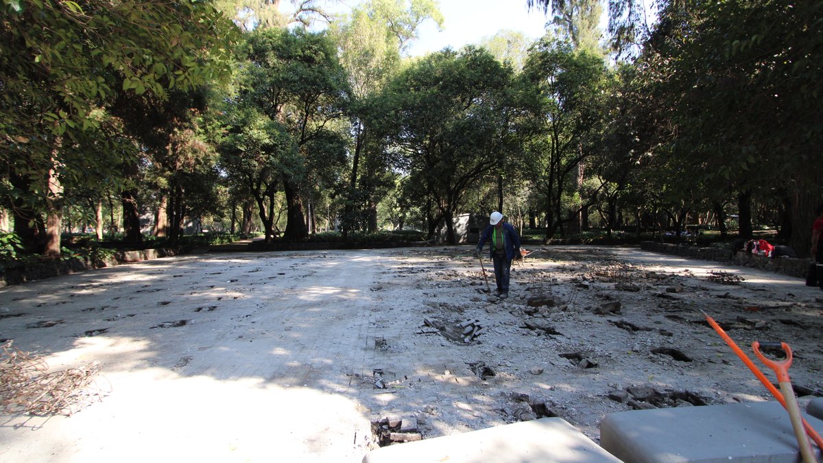 Bosque De Chapultepec tweet media
