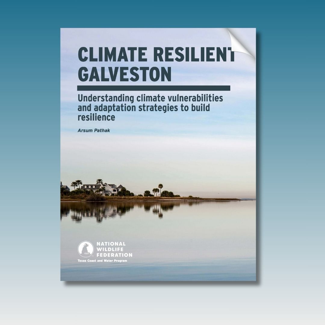 Texas Living Waters tweet media