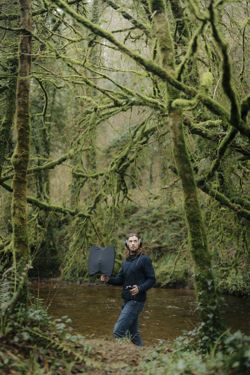 Festival of Writing & Ideas at Borris tweet media