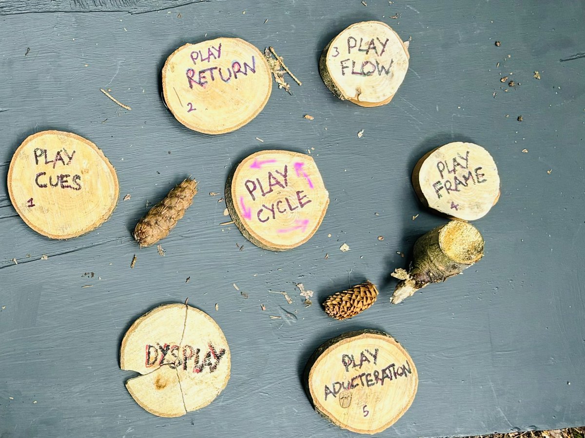 Miss_pettitt_VM's tweet photo. Amazing Forest School CPD training today with @UOLchris…tools, ropes, fire, nature and the fundamentals of play in the most wonderful woodland setting #principlesofplay @LFP_MissFreeman @Lea_Forest_HT @AETAcademies @mrsrmurad @lea_forest_curr https://t.co/fuEKpl8HHB