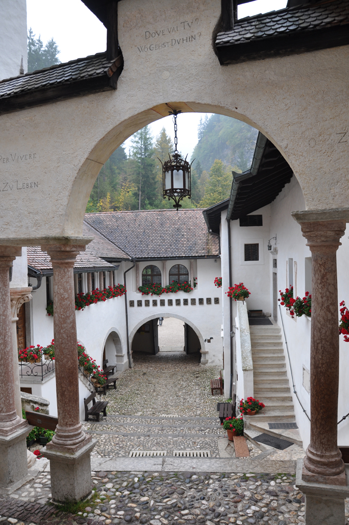 Rotari USA tweet media