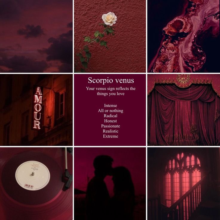 xxxfinthestory's tweet photo. 𝓈𝒾𝓇𝑒𝓃 𝓈𝑒𝓍 𝑜𝓇𝒶𝒸𝓁𝑒 💌
⊹ ˑ ִ ֗ 
$𝟣 𝓅𝑒𝓇 𝒸𝒶𝓇𝒹 𝓅𝓊𝓁𝓁 🌹
⊹ ˑ ִ ֗ 
 $𝟦.𝟦𝟦 𝒻𝑜𝓇 𝒻𝓊𝓁𝓁 𝓇𝑒𝒶𝒹𝒾𝓃𝑔 🌹
⊹ ˑ ִ ֗ 
𝒻𝑜𝓁𝓁𝑜𝓌 ✧ 𝓁𝒾𝓀𝑒 ✧ 𝓇𝓉🌹 https://t.co/wbDlITCnSF