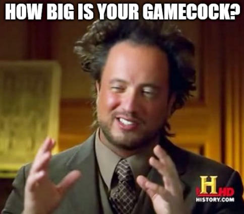 GAMECOCKonSol tweet media