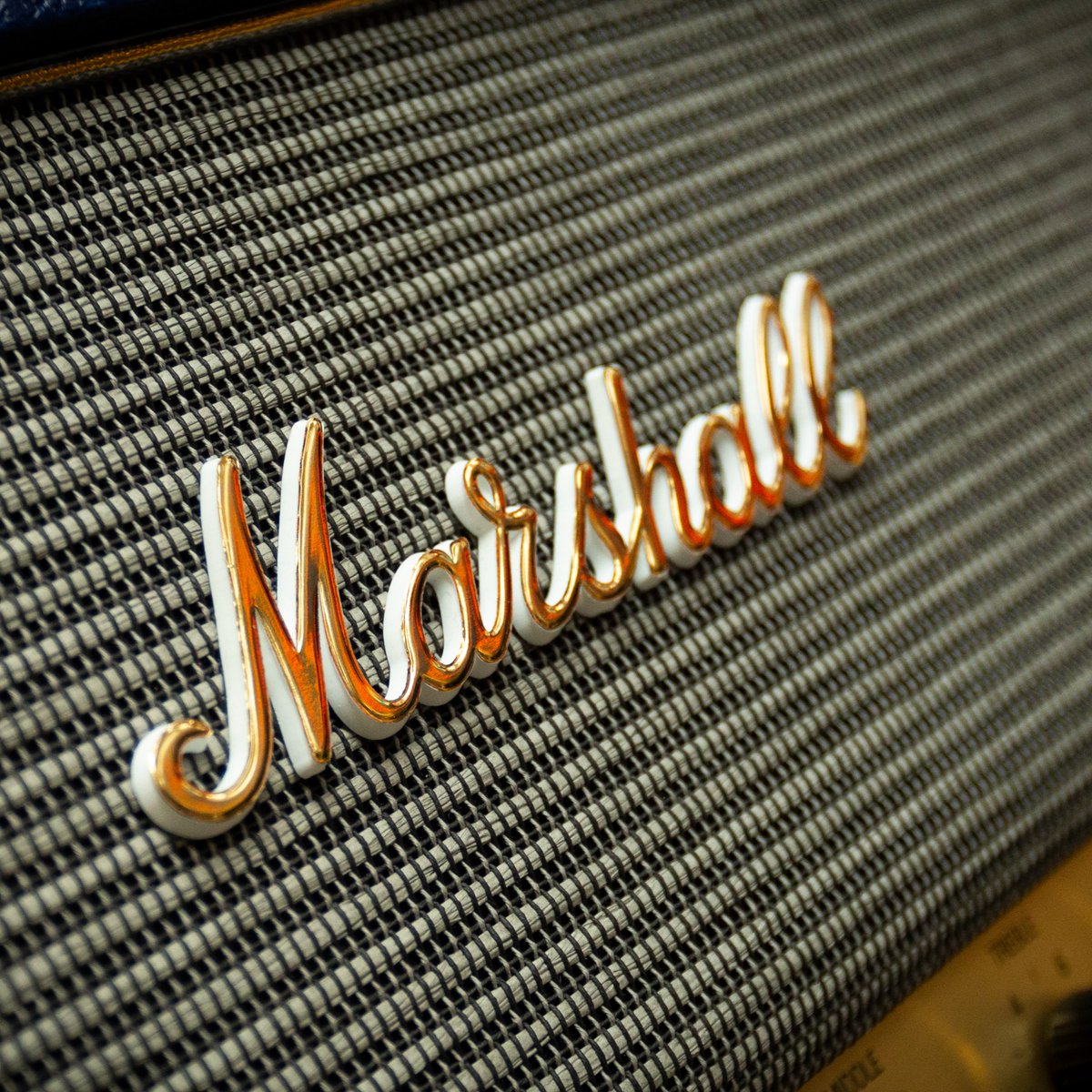 marshallamps's tweet image. Bringing all the riffs, check out this custom 2203 we recently made for our dear friend @riffsandbeards ⚡️💙 #DesignStore #MarshallAmps
