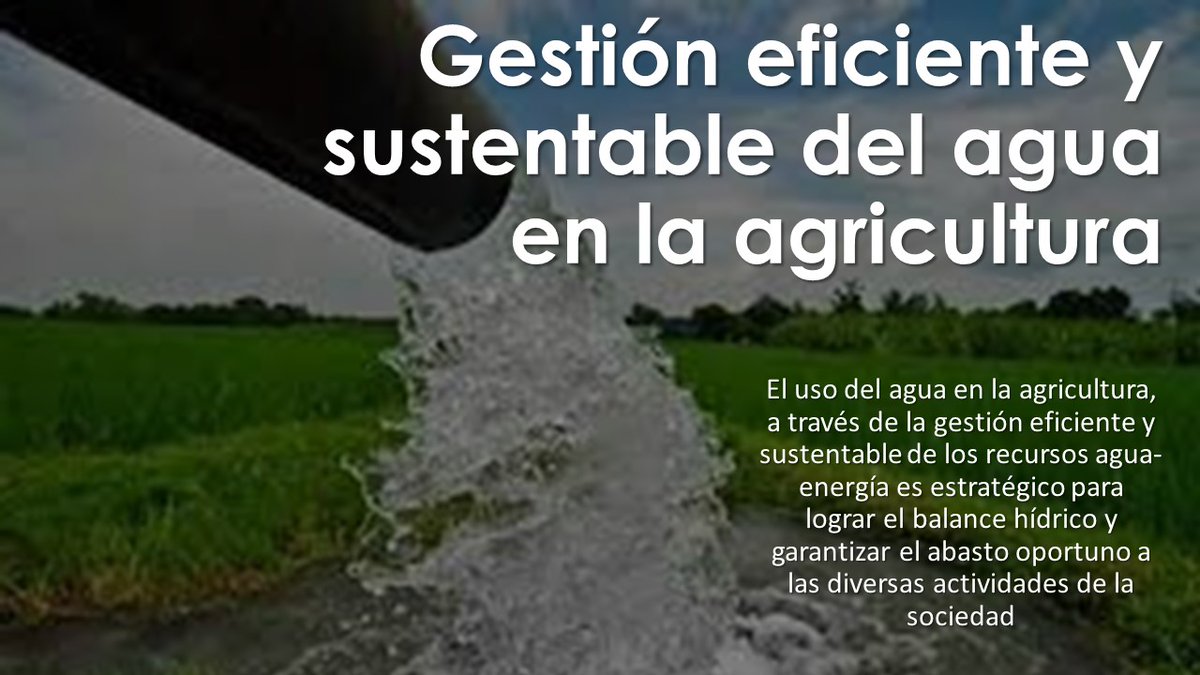 AgroMatch_Gto's tweet photo. @CongresoGto Aguas con el agua, se agota el tiempo.
Urge establecer un semáforo de riesgos y el plan de acción para atender cada fase:
- #Estiaje
   - #Sequia
     - #EscasezdeAgua
       - #CrisisHidrica
         - #CrisisSocialdelAgua
            - #SeguridadHidrica https://t.co/2qACVZU7P7